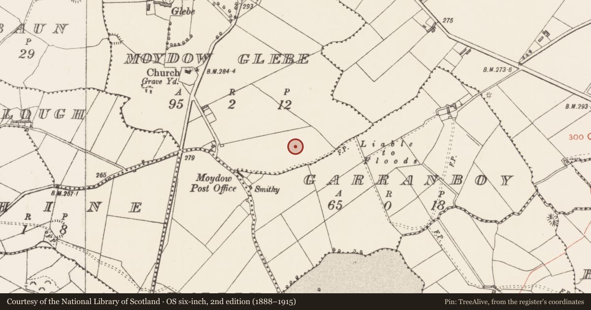Ordnance Survey six-inch map, 2nd edition (1888–1915) covering the location of Cist, Moydow Glebe, County Longford, with a pin at the register's coordinates