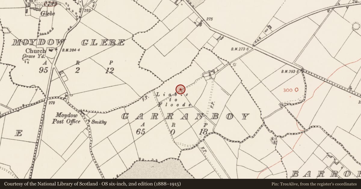 Ordnance Survey six-inch map, 2nd edition (1888–1915) covering the location of Standing stone, Garranboy, County Longford, with a pin at the register's coordinates