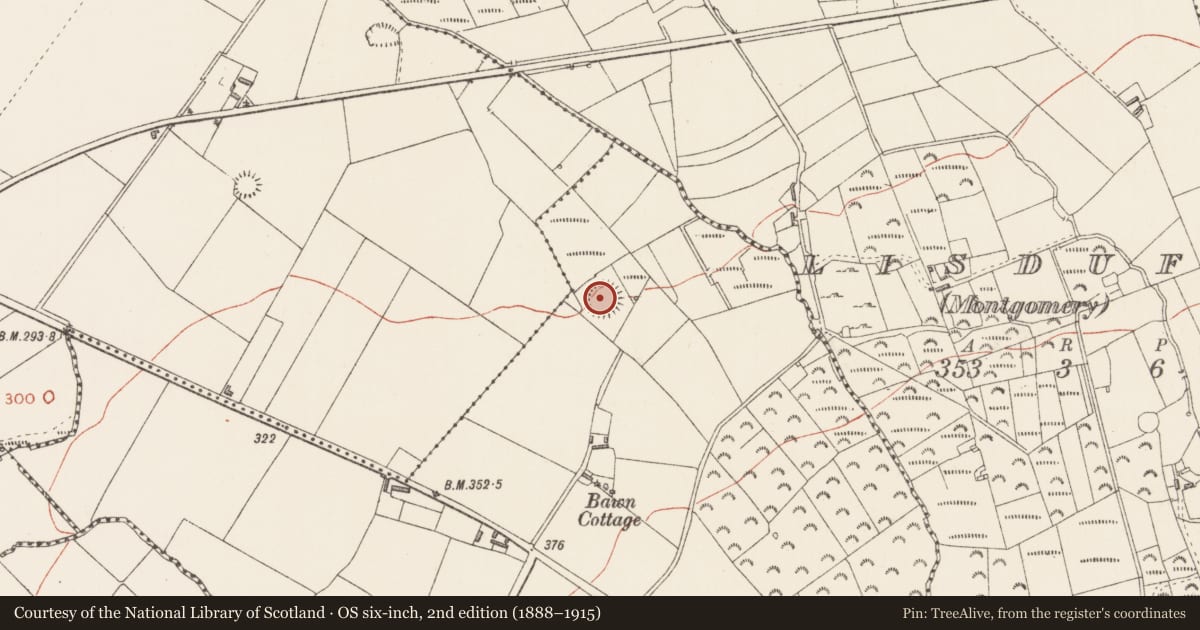 Ordnance Survey six-inch map, 2nd edition (1888–1915) covering the location of Ringfort - rath, Bawn Mountain, County Longford, with a pin at the register's coordinates