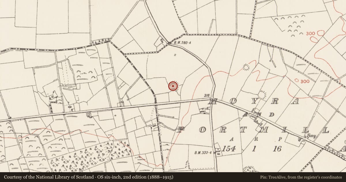 Ordnance Survey six-inch map, 2nd edition (1888–1915) covering the location of Moated site, Moyra And Fortmill, County Longford, with a pin at the register's coordinates