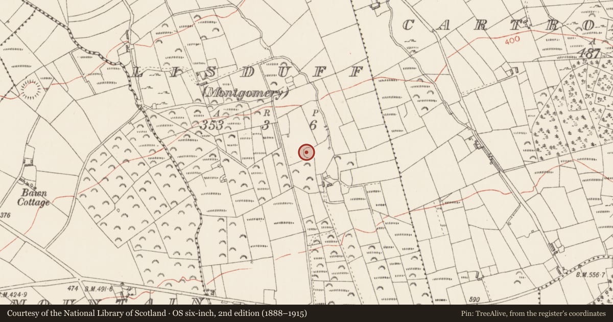 Ordnance Survey six-inch map, 2nd edition (1888–1915) covering the location of Ringfort - rath, Lisduff (Montgomery), County Longford, with a pin at the register's coordinates