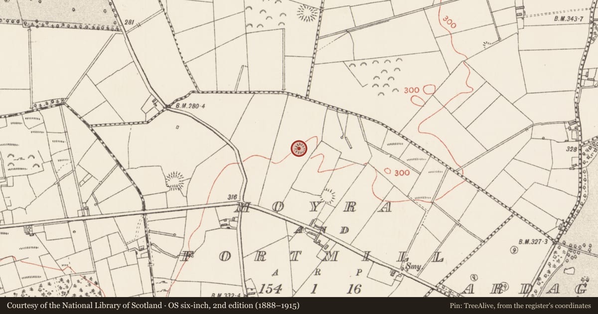 Ordnance Survey six-inch map, 2nd edition (1888–1915) covering the location of Ringfort - rath, Moyra And Fortmill, County Longford, with a pin at the register's coordinates