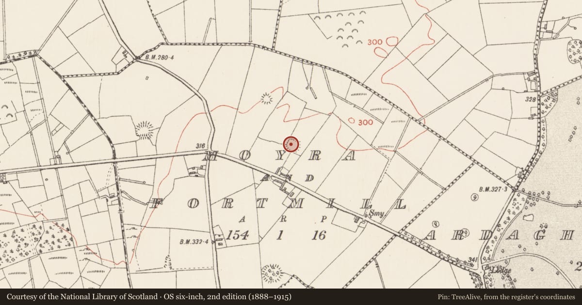 Ordnance Survey six-inch map, 2nd edition (1888–1915) covering the location of Ringfort - rath, Moyra And Fortmill, County Longford, with a pin at the register's coordinates