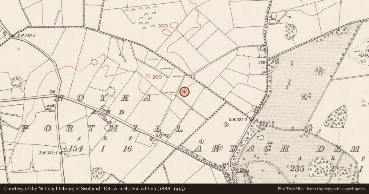 Ordnance Survey six-inch map, 2nd edition (1888–1915) covering the location of Ringfort - rath, Moyra And Fortmill, County Longford, with a pin at the register's coordinates