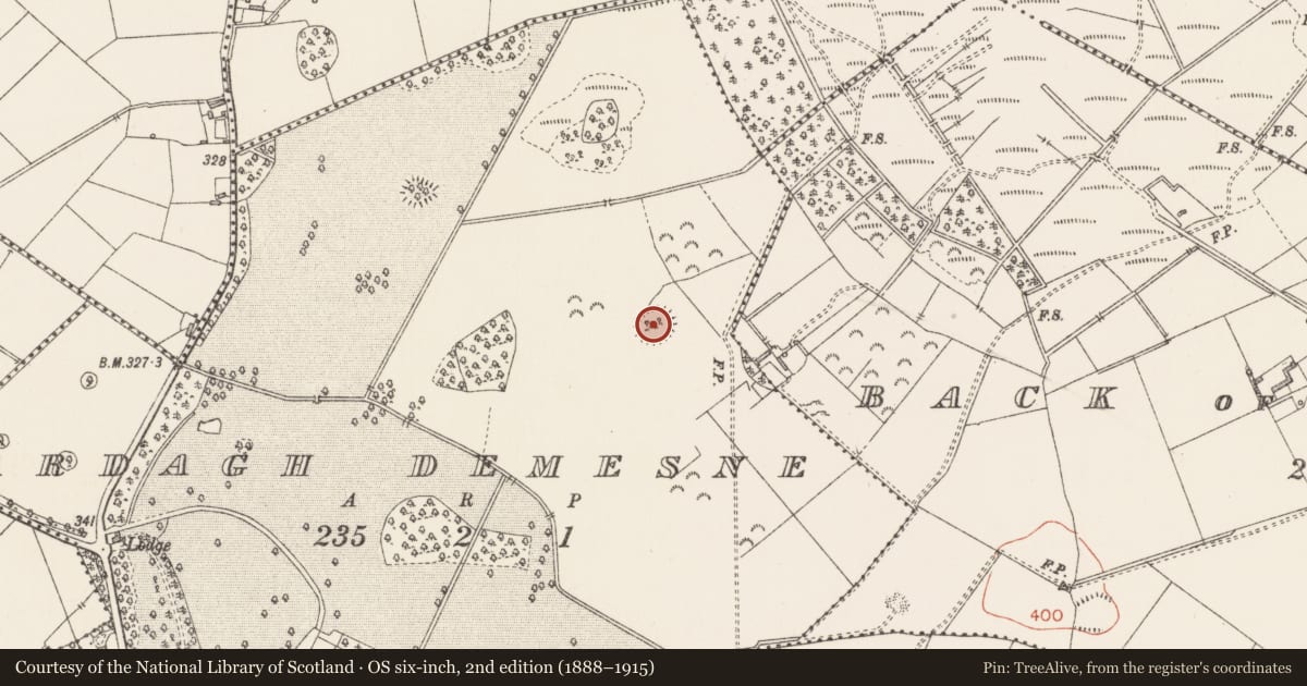 Ordnance Survey six-inch map, 2nd edition (1888–1915) covering the location of Ringfort - rath, Ardagh Demesne, County Longford, with a pin at the register's coordinates