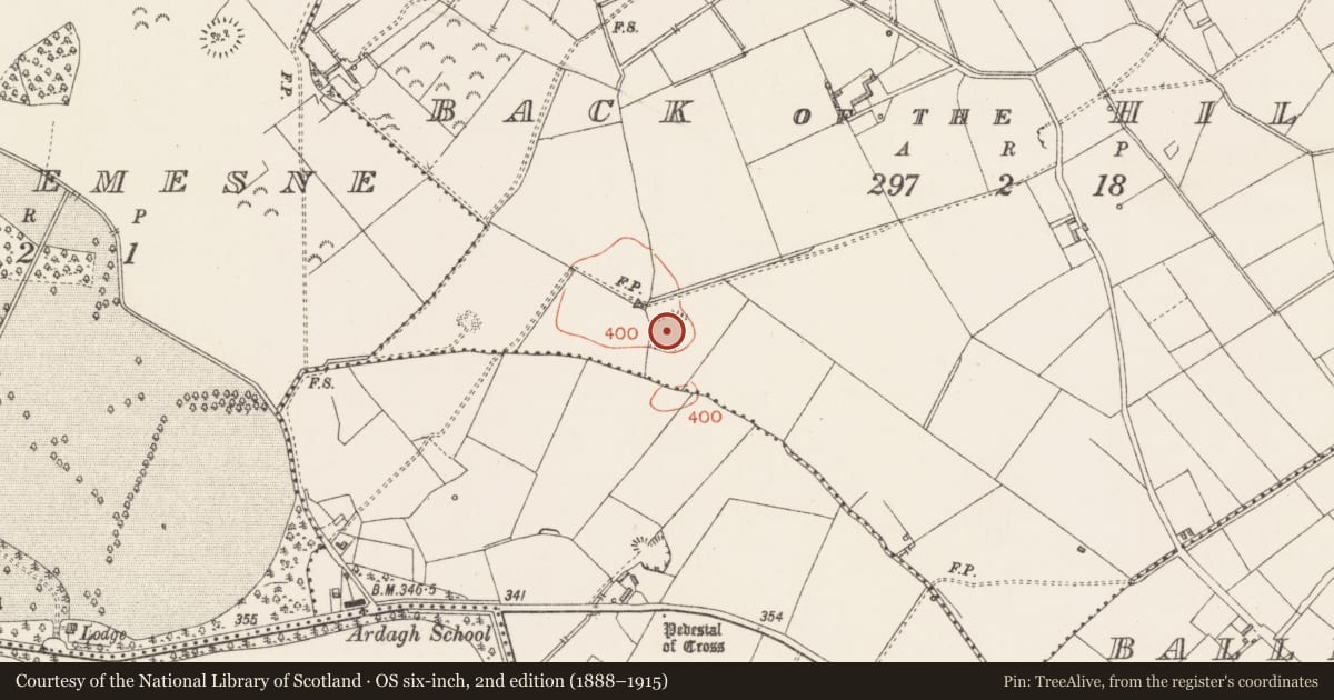 Ordnance Survey six-inch map, 2nd edition (1888–1915) covering the location of Ringfort - rath, Back of The Hill, County Longford, with a pin at the register's coordinates