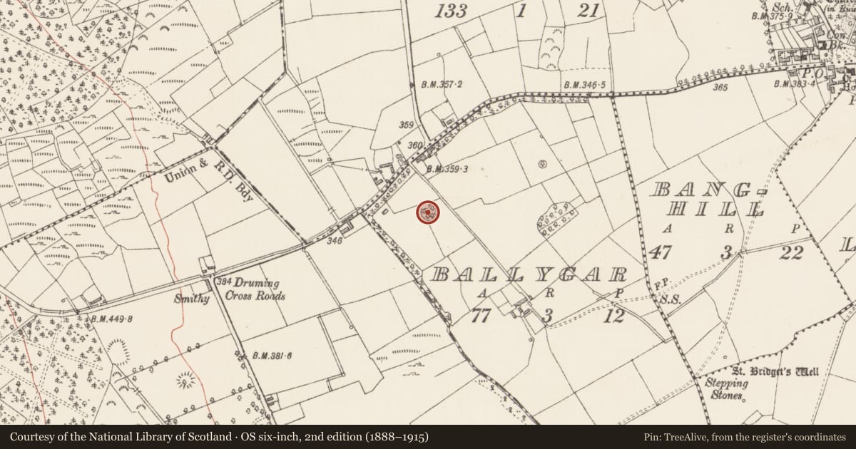 Ordnance Survey six-inch map, 2nd edition (1888–1915) covering the location of Ringfort - rath, Ballygar, County Longford, with a pin at the register's coordinates