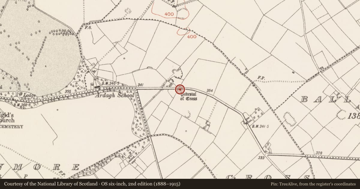 Ordnance Survey six-inch map, 2nd edition (1888–1915) covering the location of Cross, County Longford, with a pin at the register's coordinates