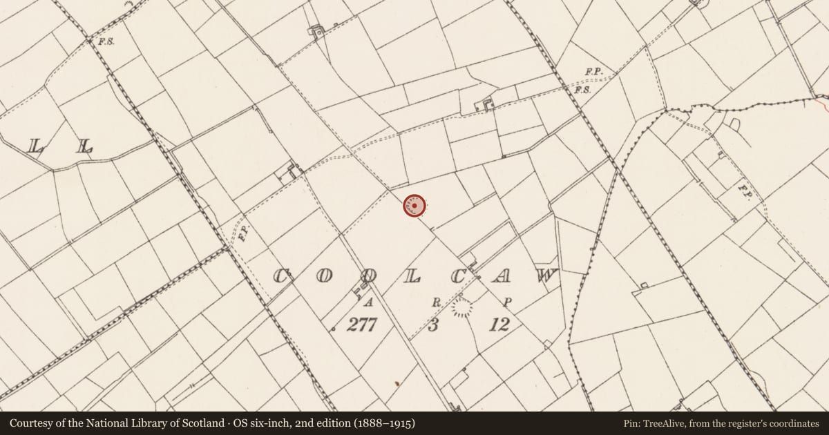 Ordnance Survey six-inch map, 2nd edition (1888–1915) covering the location of Ringfort - rath, Coolcaw, County Longford, with a pin at the register's coordinates