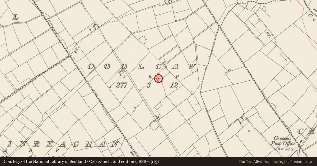 Ordnance Survey six-inch map, 2nd edition (1888–1915) covering the location of Ringfort - rath, Coolcaw, County Longford, with a pin at the register's coordinates