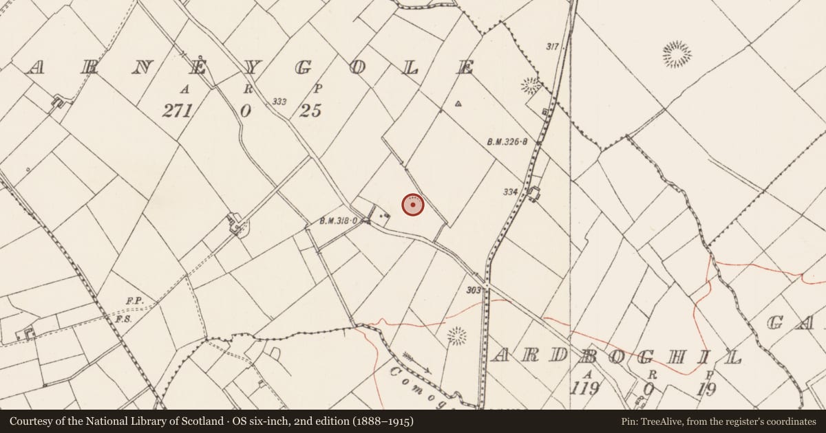 Ordnance Survey six-inch map, 2nd edition (1888–1915) covering the location of Ringfort - rath, Barneygole, County Longford, with a pin at the register's coordinates