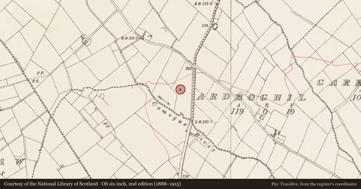 Ordnance Survey six-inch map, 2nd edition (1888–1915) covering the location of Ringfort - rath, Barneygole, County Longford, with a pin at the register's coordinates