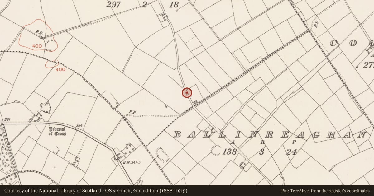 Ordnance Survey six-inch map, 2nd edition (1888–1915) covering the location of Ringfort - rath, Back of The Hill, County Longford, with a pin at the register's coordinates