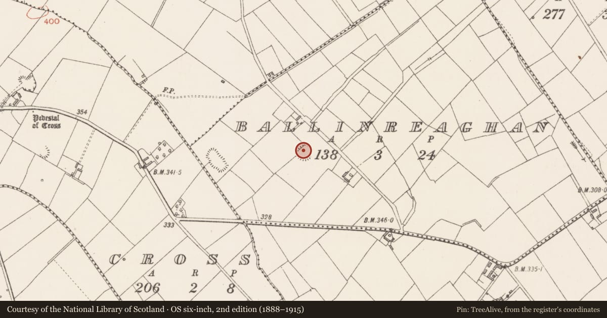 Ordnance Survey six-inch map, 2nd edition (1888–1915) covering the location of Ringfort - rath, Ballinreaghan, County Longford, with a pin at the register's coordinates
