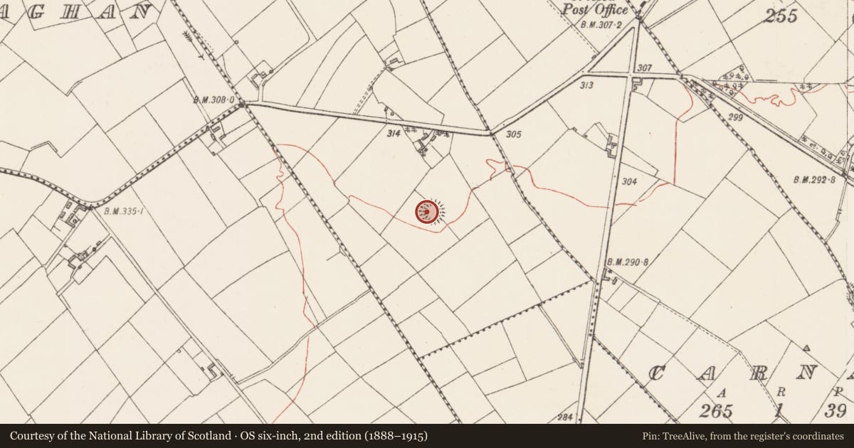 Ordnance Survey six-inch map, 2nd edition (1888–1915) covering the location of Ringfort - rath, Coolcaw, County Longford, with a pin at the register's coordinates