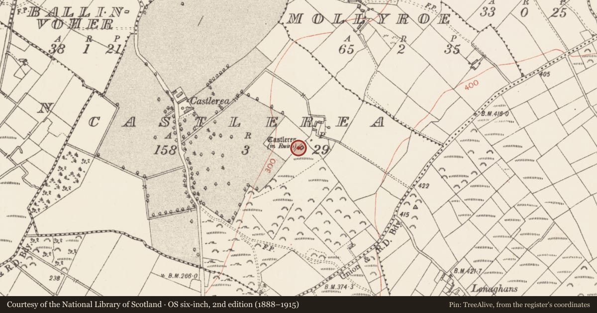 Ordnance Survey six-inch map, 2nd edition (1888–1915) covering the location of Castle - tower house, Castlerea, County Longford, with a pin at the register's coordinates