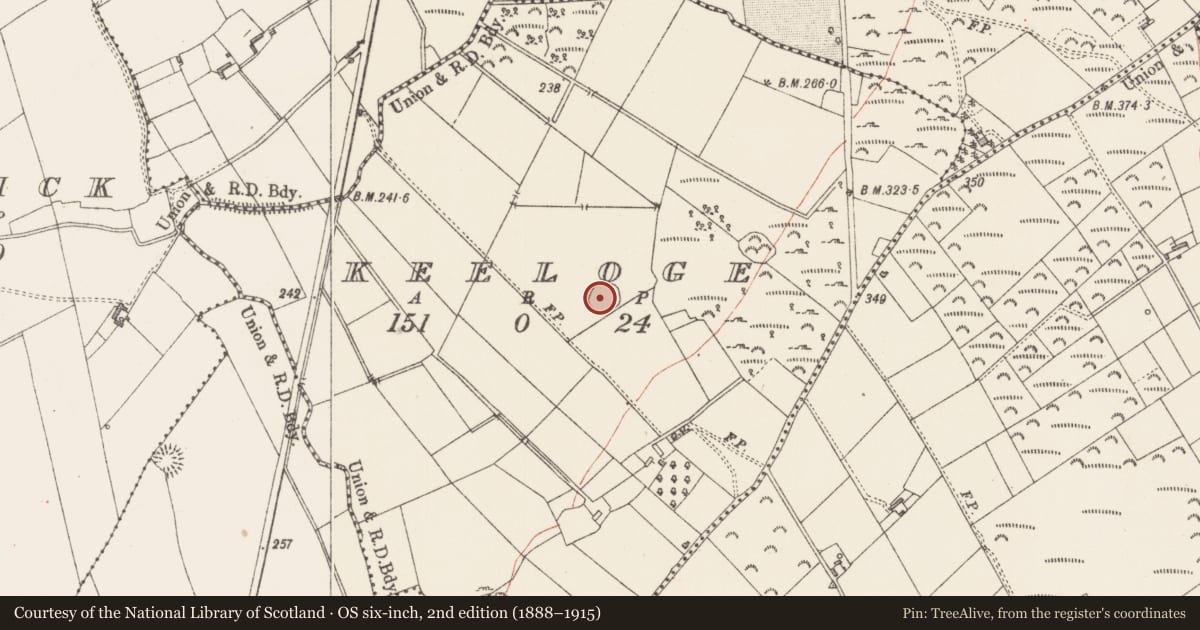 Ordnance Survey six-inch map, 2nd edition (1888–1915) covering the location of Ringfort - rath, Keeloge, County Longford, with a pin at the register's coordinates
