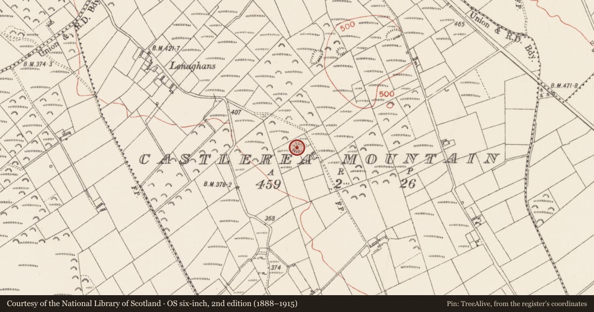 Ordnance Survey six-inch map, 2nd edition (1888–1915) covering the location of Ringfort - rath, Castlerea Mountain, County Longford, with a pin at the register's coordinates