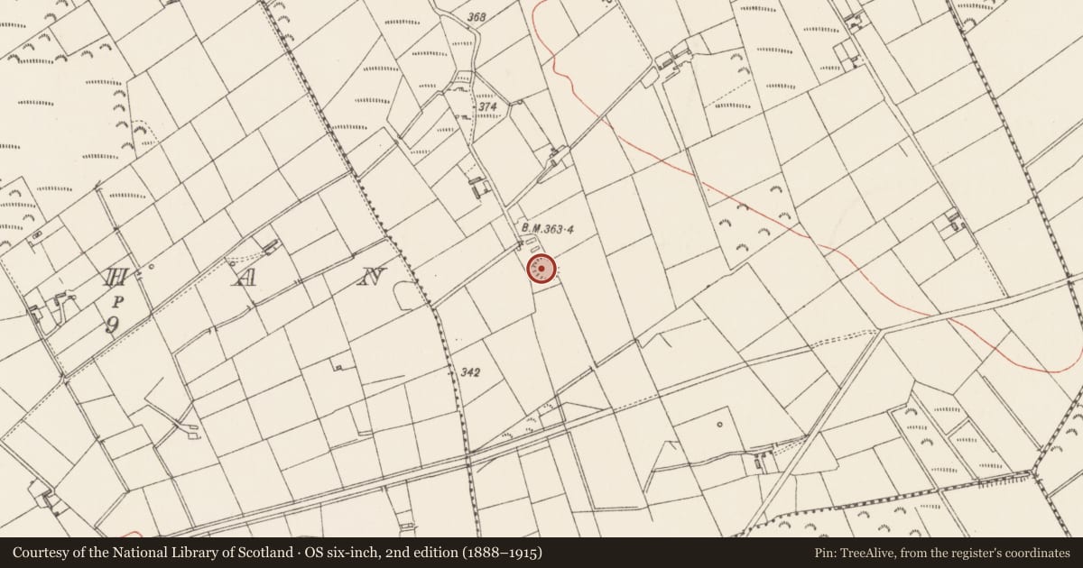 Ordnance Survey six-inch map, 2nd edition (1888–1915) covering the location of Ringfort - rath, Castlerea Mountain, County Longford, with a pin at the register's coordinates