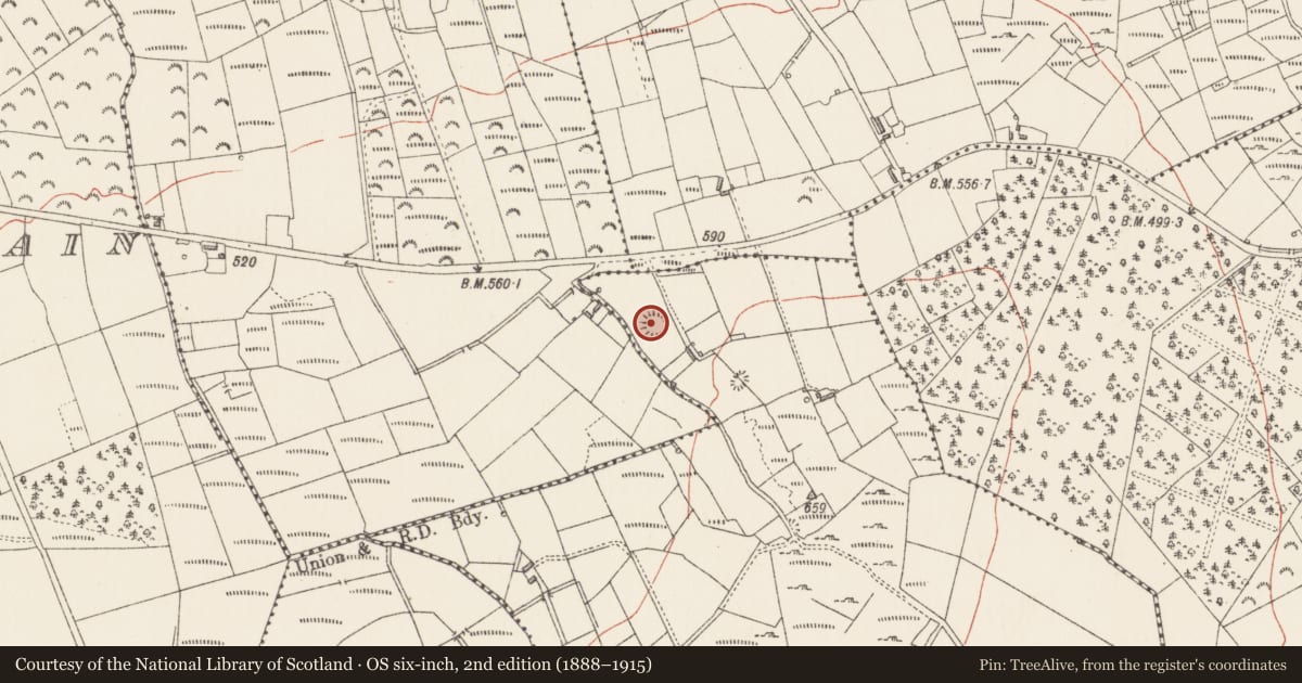 Ordnance Survey six-inch map, 2nd edition (1888–1915) covering the location of Ringfort - rath, Garrycam, County Longford, with a pin at the register's coordinates