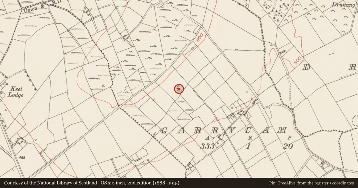 Ordnance Survey six-inch map, 2nd edition (1888–1915) covering the location of Ringfort - rath, Garrycam, County Longford, with a pin at the register's coordinates