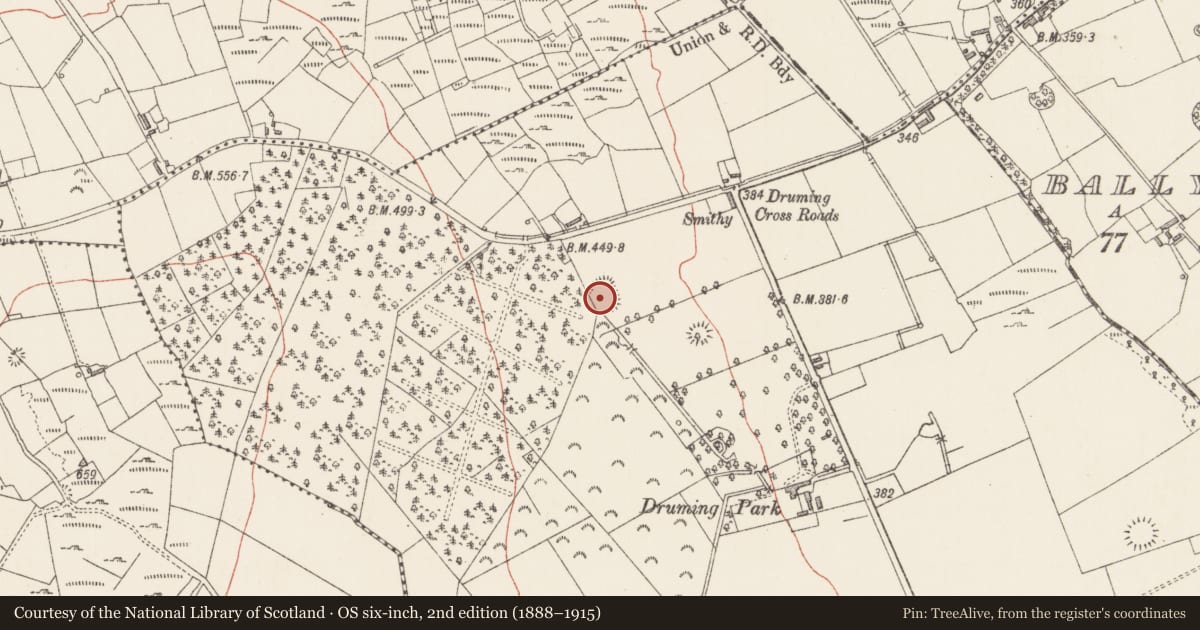 Ordnance Survey six-inch map, 2nd edition (1888–1915) covering the location of Ringfort - rath, Druming, County Longford, with a pin at the register's coordinates