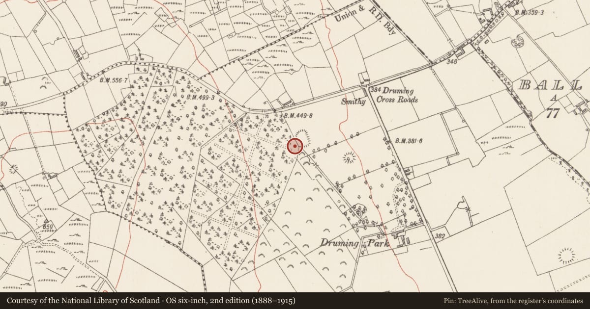 Ordnance Survey six-inch map, 2nd edition (1888–1915) covering the location of Bullaun stone, Druming, County Longford, with a pin at the register's coordinates