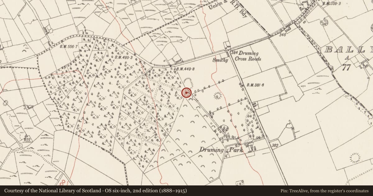 Ordnance Survey six-inch map, 2nd edition (1888–1915) covering the location of Barrow - ring-barrow, Druming, County Longford, with a pin at the register's coordinates