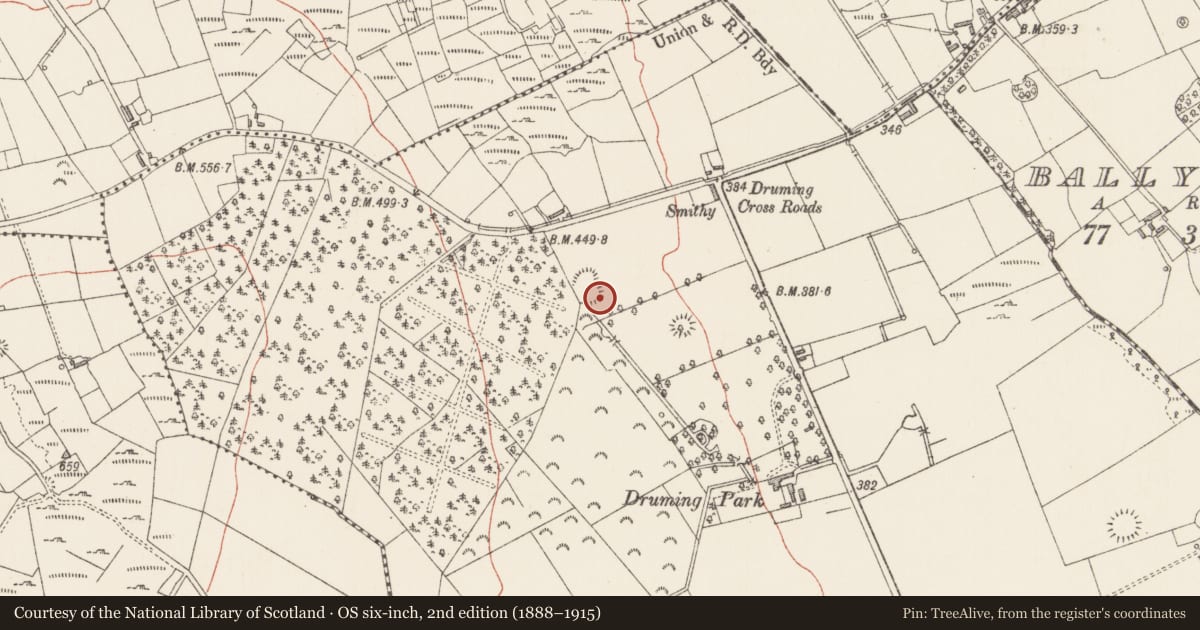 Ordnance Survey six-inch map, 2nd edition (1888–1915) covering the location of Bullaun stone, Druming, County Longford, with a pin at the register's coordinates