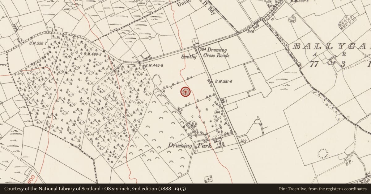 Ordnance Survey six-inch map, 2nd edition (1888–1915) covering the location of Ringfort - rath, Druming, County Longford, with a pin at the register's coordinates
