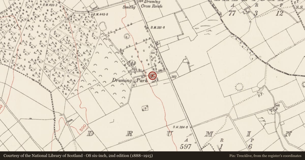 Ordnance Survey six-inch map, 2nd edition (1888–1915) covering the location of Font, Druming, County Longford, with a pin at the register's coordinates