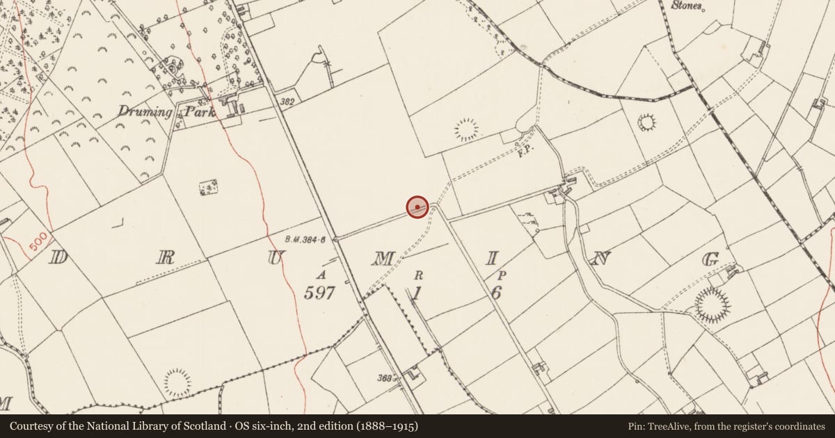 Ordnance Survey six-inch map, 2nd edition (1888–1915) covering the location of House - 17th century, Druming, County Longford, with a pin at the register's coordinates