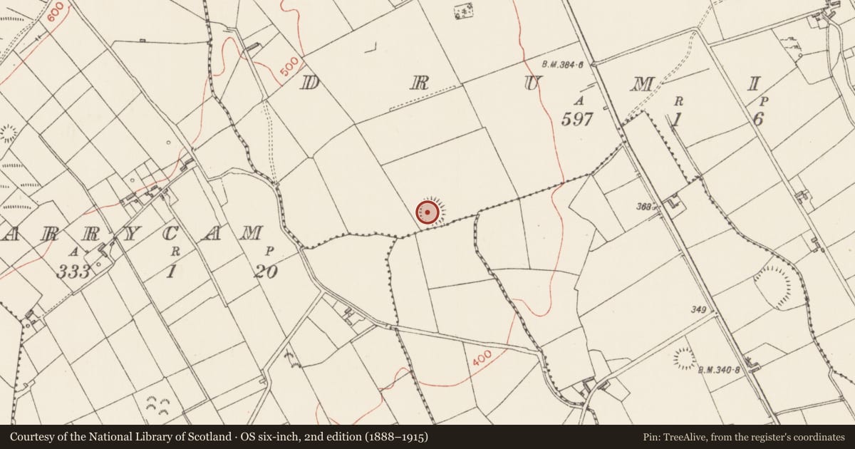 Ordnance Survey six-inch map, 2nd edition (1888–1915) covering the location of Ringfort - rath, Druming, County Longford, with a pin at the register's coordinates