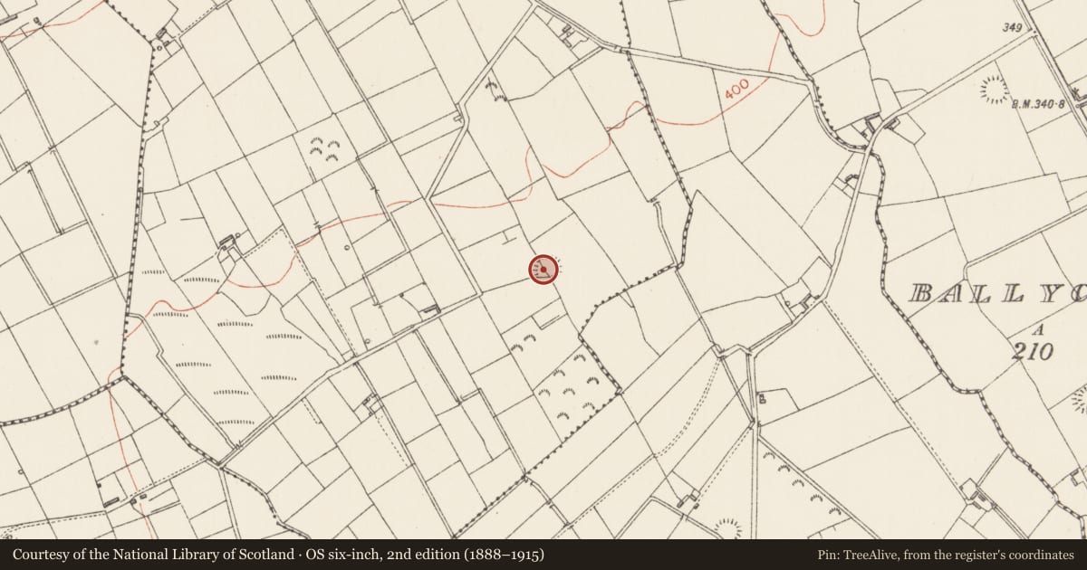 Ordnance Survey six-inch map, 2nd edition (1888–1915) covering the location of Ringfort - rath, Garrycam, County Longford, with a pin at the register's coordinates