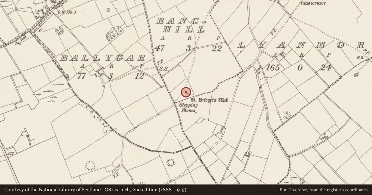 Ordnance Survey six-inch map, 2nd edition (1888–1915) covering the location of Ritual site - holy well, Banghill, County Longford, with a pin at the register's coordinates