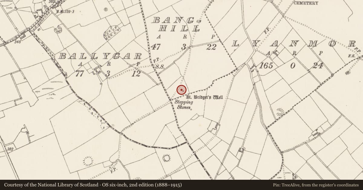 Ordnance Survey six-inch map, 2nd edition (1888–1915) covering the location of Ritual site - holy tree/bush, Banghill, County Longford, with a pin at the register's coordinates