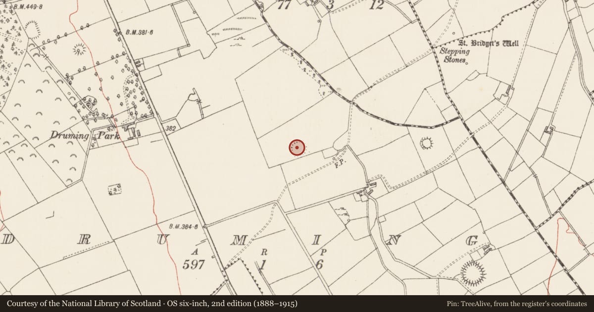 Ordnance Survey six-inch map, 2nd edition (1888–1915) covering the location of Ringfort - rath, Druming, County Longford, with a pin at the register's coordinates