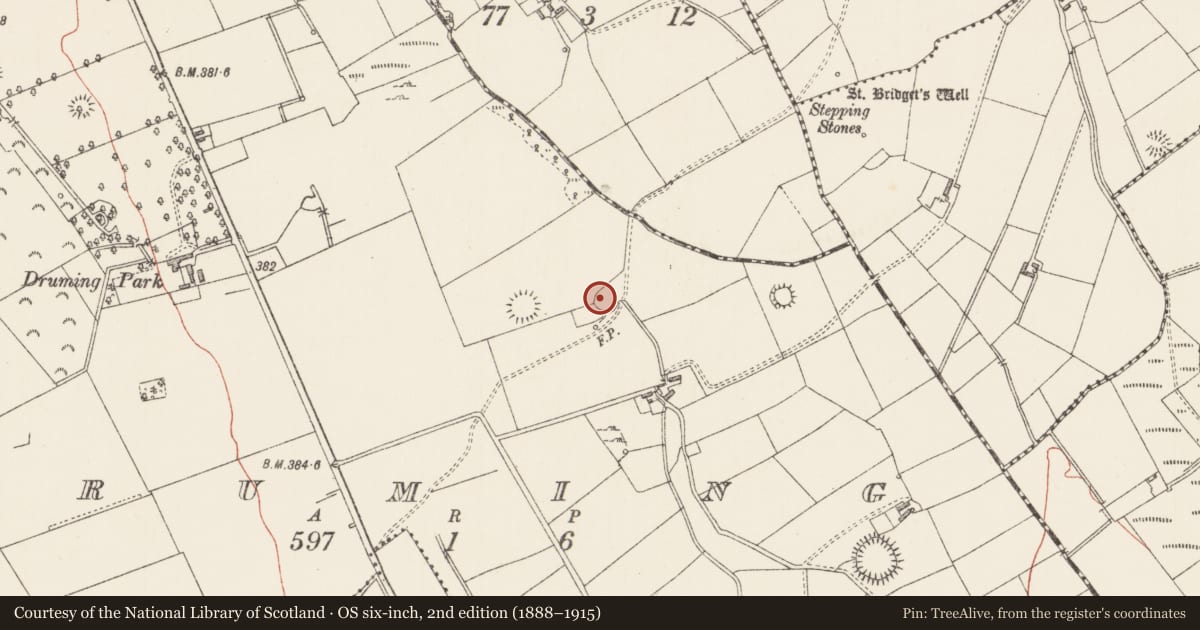 Ordnance Survey six-inch map, 2nd edition (1888–1915) covering the location of Ringfort - rath, Druming, County Longford, with a pin at the register's coordinates