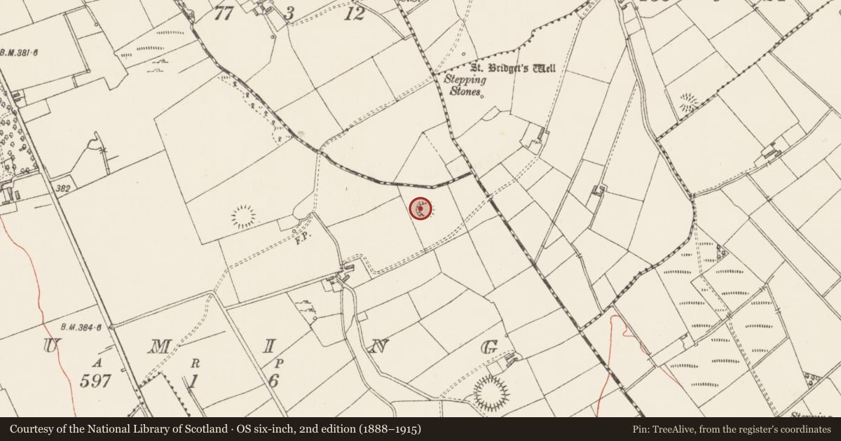 Ordnance Survey six-inch map, 2nd edition (1888–1915) covering the location of Ringfort - rath, Druming, County Longford, with a pin at the register's coordinates