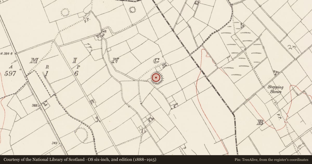 Ordnance Survey six-inch map, 2nd edition (1888–1915) covering the location of Ringfort - rath, Druming, County Longford, with a pin at the register's coordinates