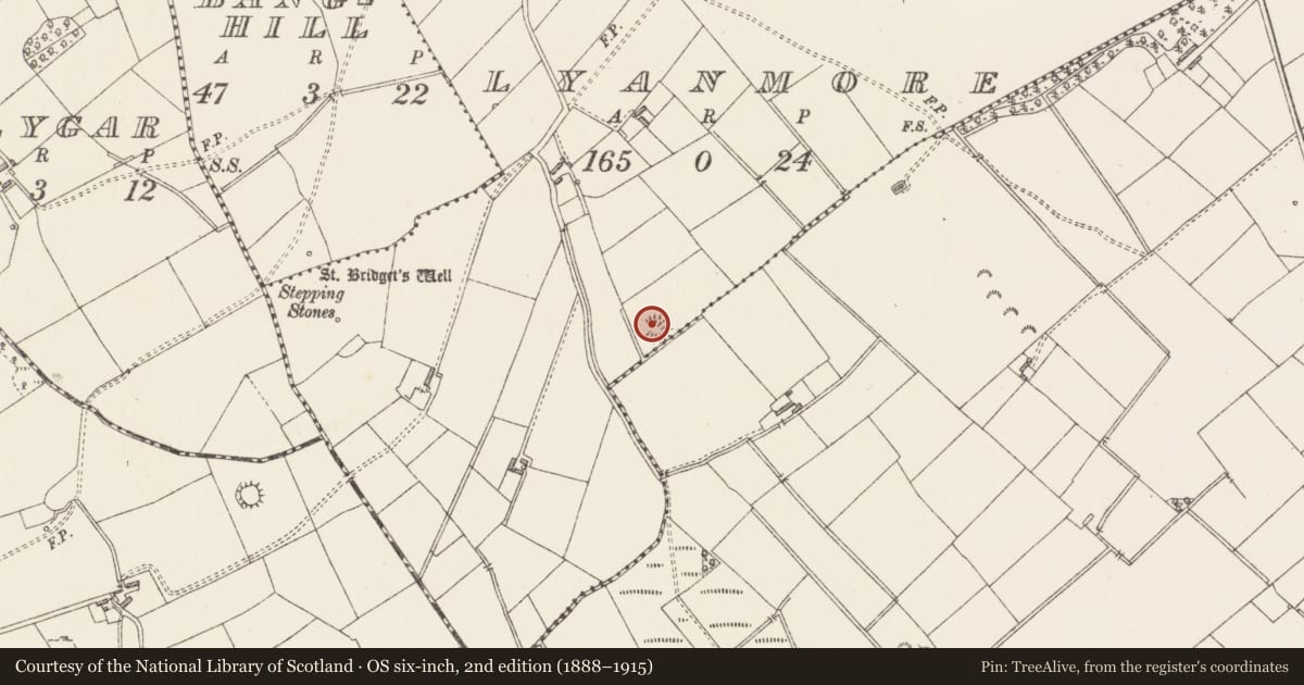 Ordnance Survey six-inch map, 2nd edition (1888–1915) covering the location of Ringfort - rath, Lyanmore, County Longford, with a pin at the register's coordinates