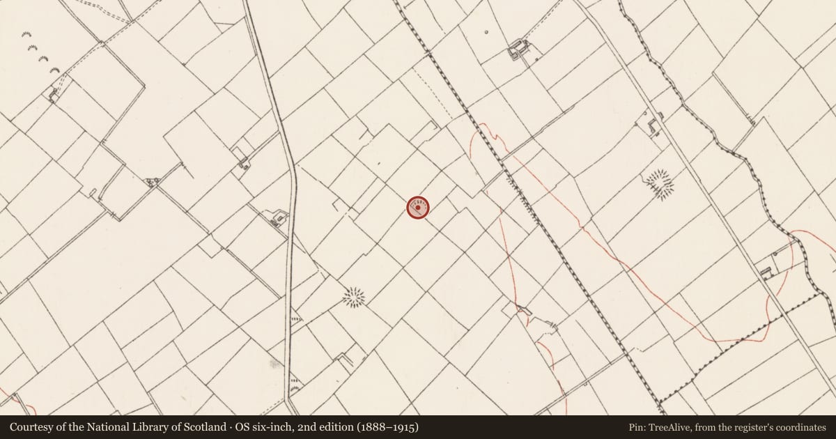 Ordnance Survey six-inch map, 2nd edition (1888–1915) covering the location of Ringfort - rath, Breany, County Longford, with a pin at the register's coordinates