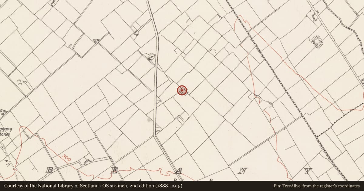 Ordnance Survey six-inch map, 2nd edition (1888–1915) covering the location of Ringfort - rath, Breany, County Longford, with a pin at the register's coordinates