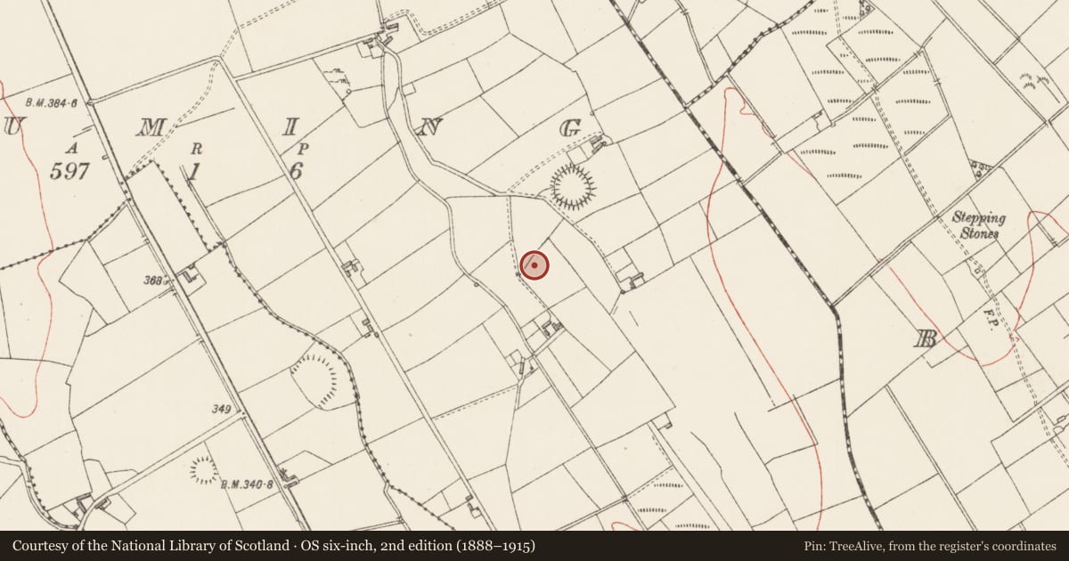 Ordnance Survey six-inch map, 2nd edition (1888–1915) covering the location of Ringfort - rath, Druming, County Longford, with a pin at the register's coordinates