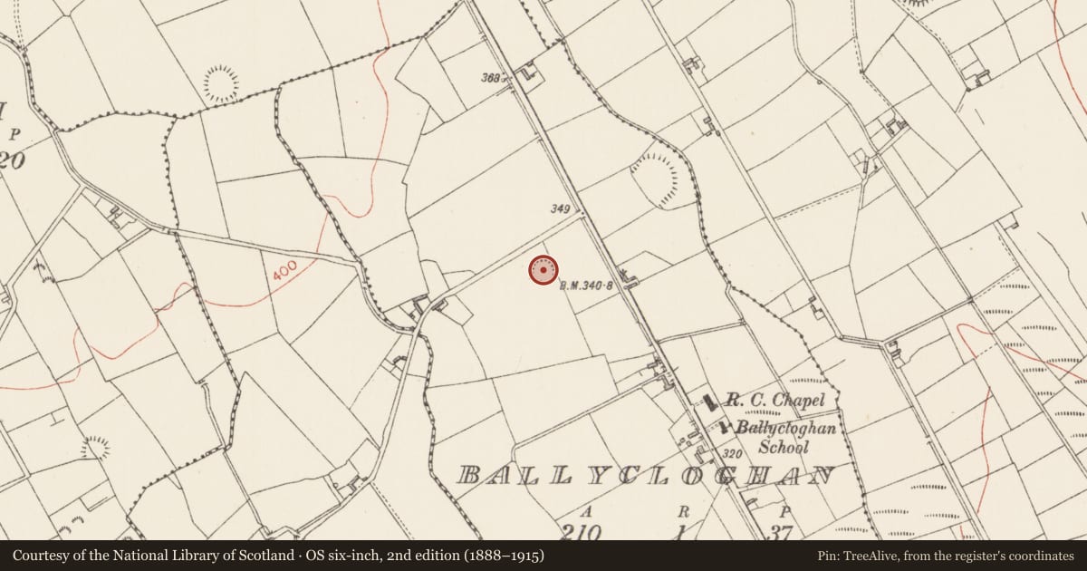 Ordnance Survey six-inch map, 2nd edition (1888–1915) covering the location of Ringfort - rath, Ballycloghan, County Longford, with a pin at the register's coordinates