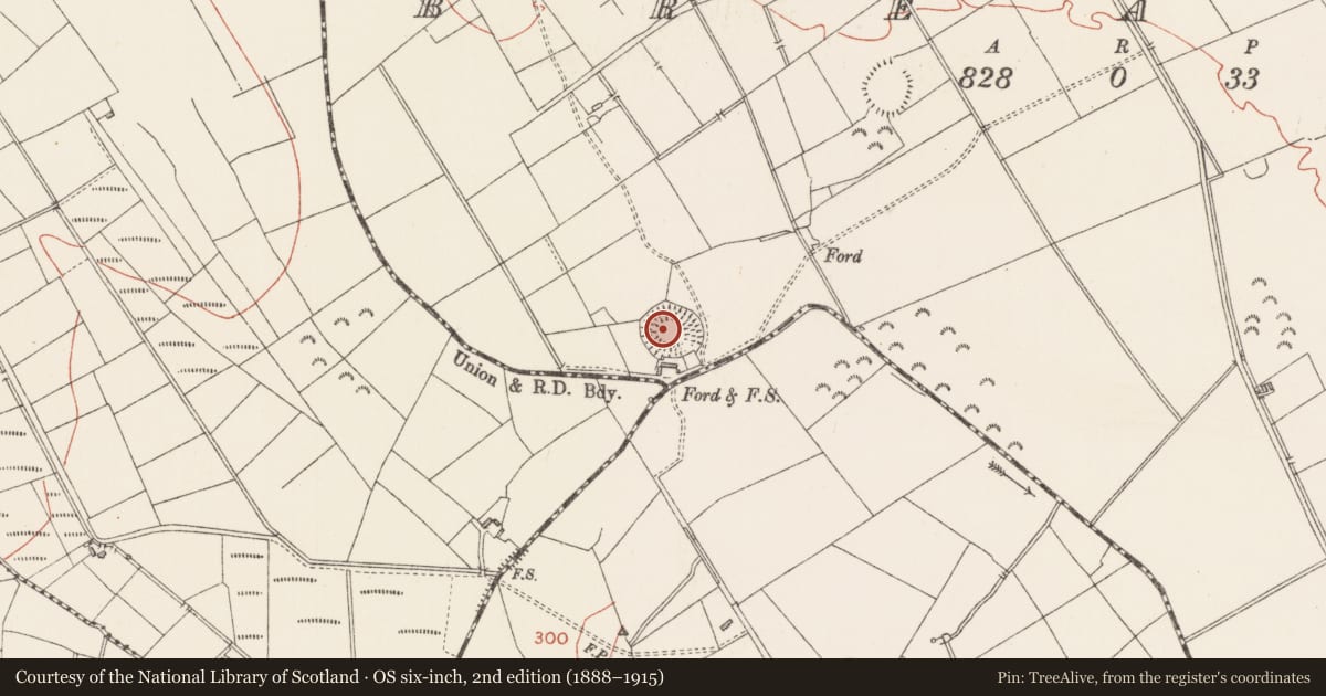 Ordnance Survey six-inch map, 2nd edition (1888–1915) covering the location of Ringfort - rath, Breany, County Longford, with a pin at the register's coordinates