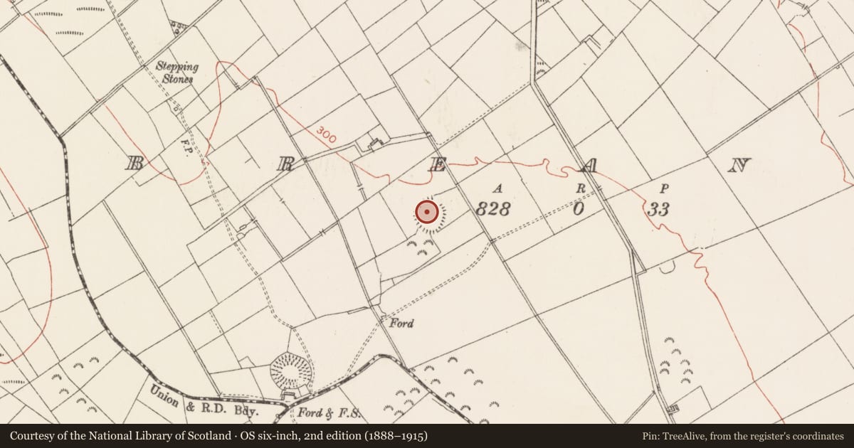 Ordnance Survey six-inch map, 2nd edition (1888–1915) covering the location of Enclosure, Breany, County Longford, with a pin at the register's coordinates