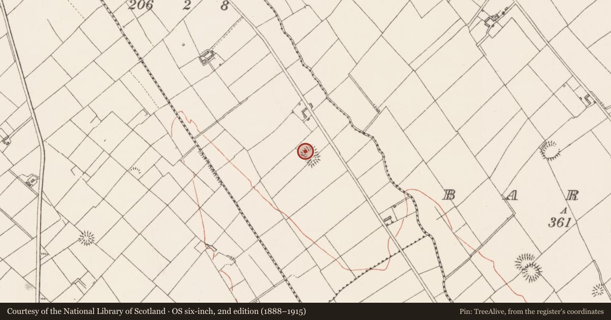 Ordnance Survey six-inch map, 2nd edition (1888–1915) covering the location of Enclosure, Cross, County Longford, with a pin at the register's coordinates
