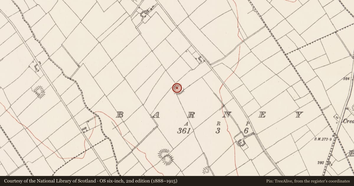 Ordnance Survey six-inch map, 2nd edition (1888–1915) covering the location of Ringfort - rath, Barney, County Longford, with a pin at the register's coordinates