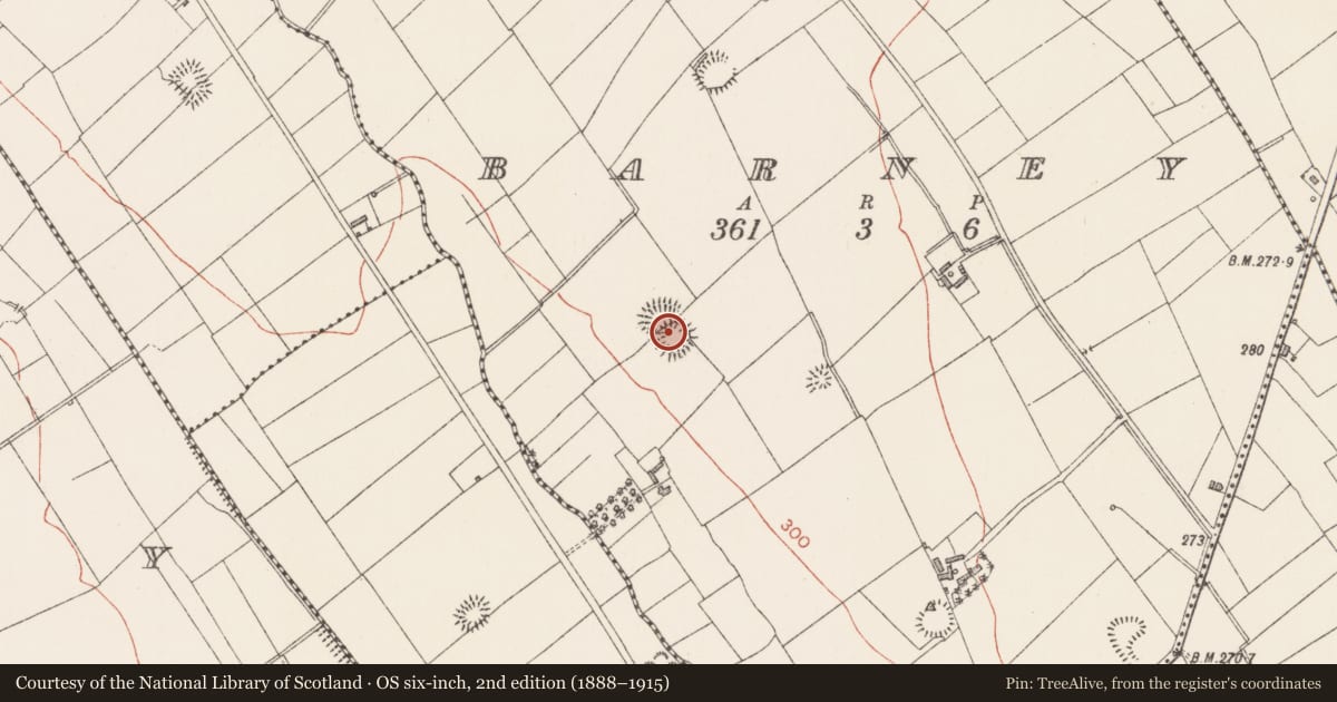 Ordnance Survey six-inch map, 2nd edition (1888–1915) covering the location of Ringfort - rath, Barney, County Longford, with a pin at the register's coordinates